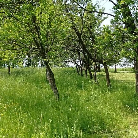 Oaza Milosci Lipinki  Buitenkant foto