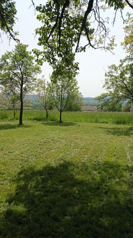 Oaza Milosci Lipinki  Buitenkant foto