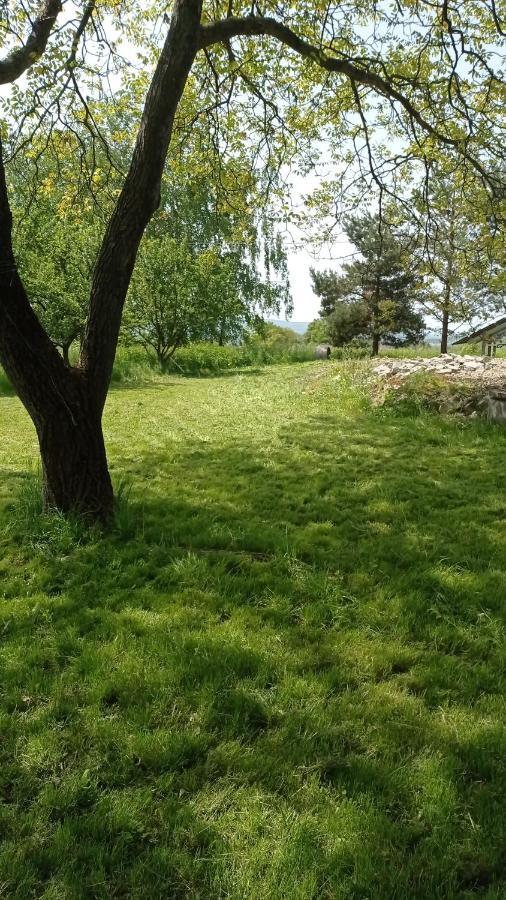 Oaza Milosci Lipinki  Buitenkant foto