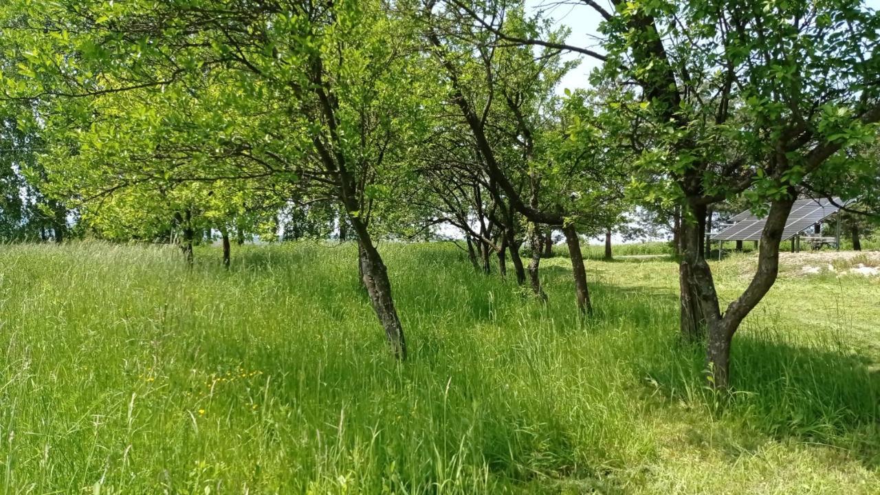Oaza Milosci Lipinki  Buitenkant foto
